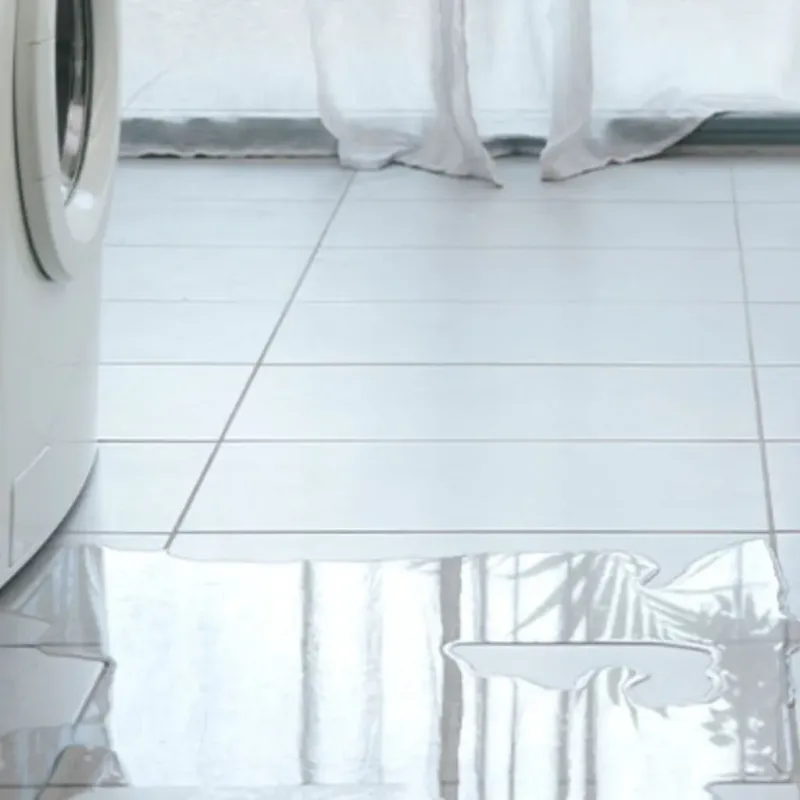 Appliance Leak Cleanup in Citrus County, FL