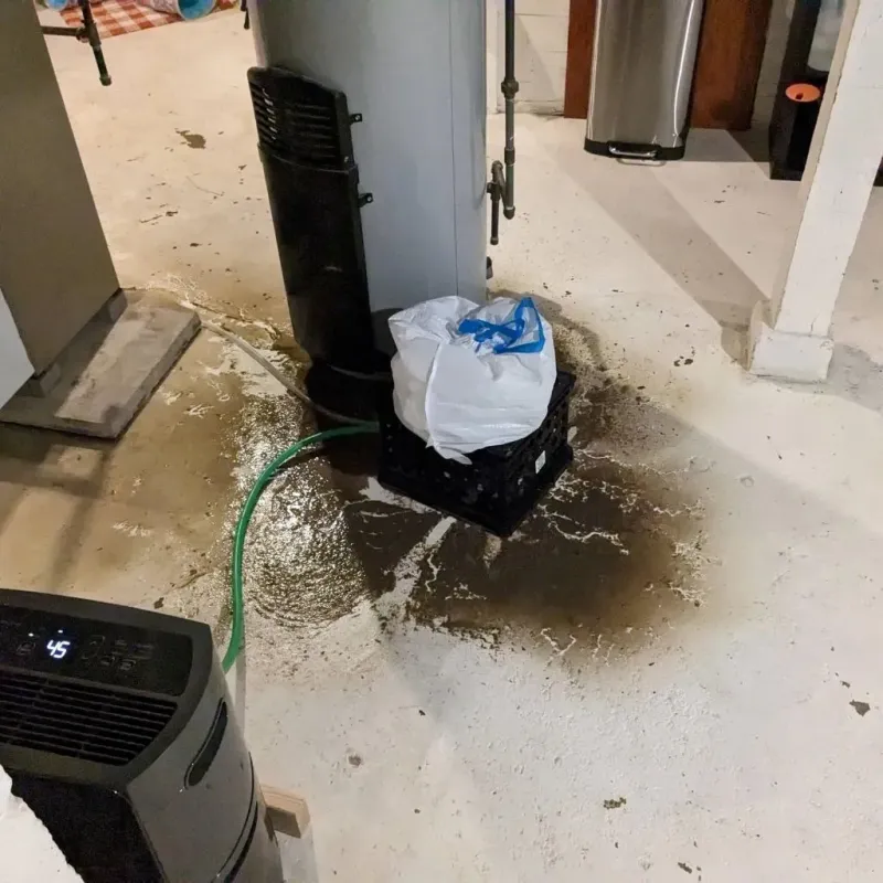 Sewage Backup Cleanup Service in Citrus County, FL